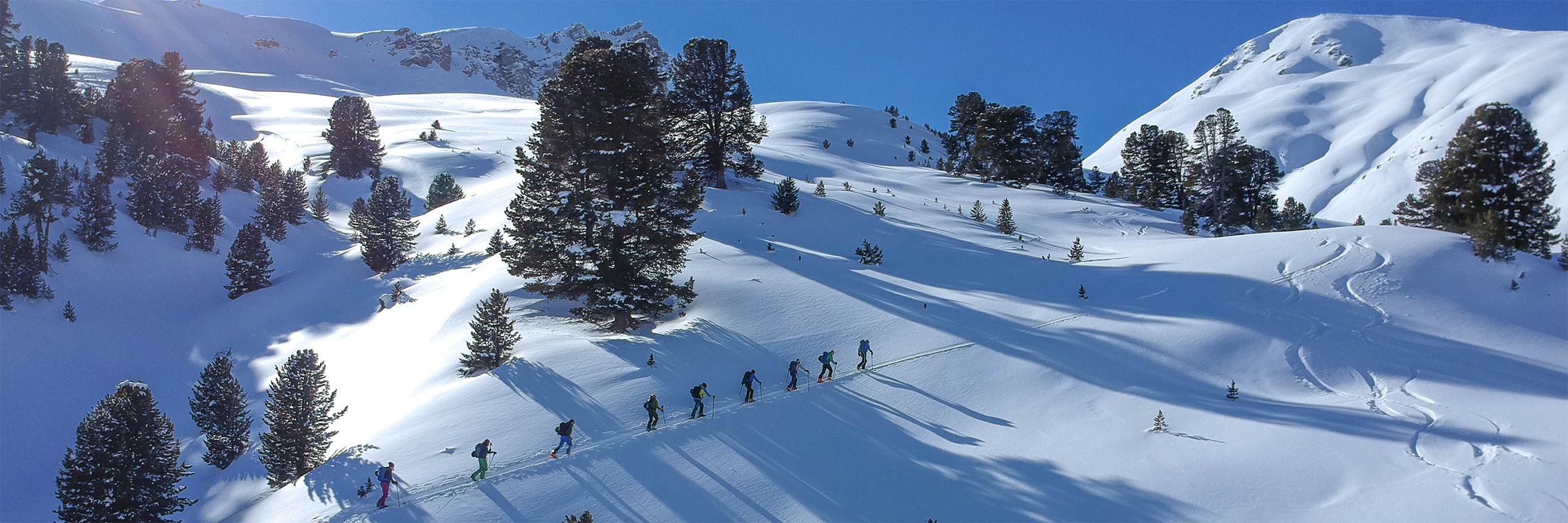 Swisstopo Online Shop Swisstopo Online Shop